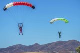 skydivers-landing