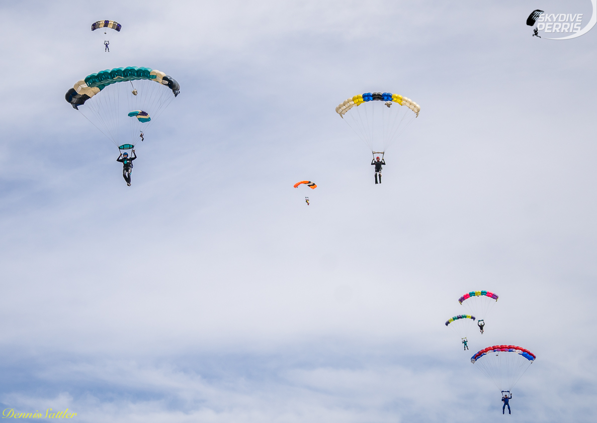 Many parachutes in the sky coming in for landing