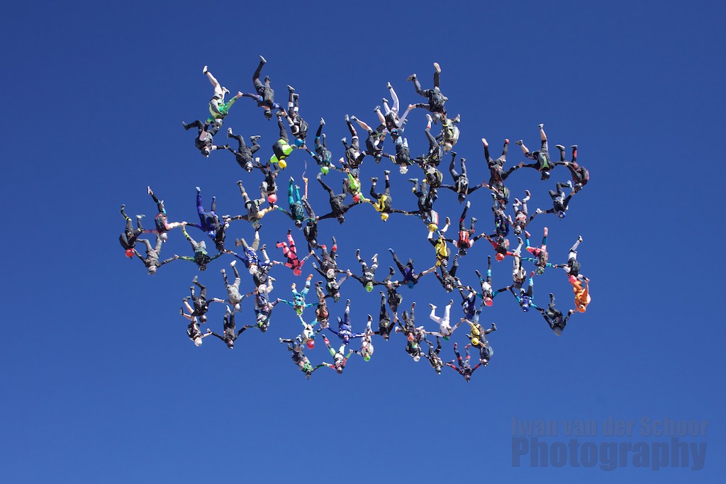 head down VFS skydiving record
