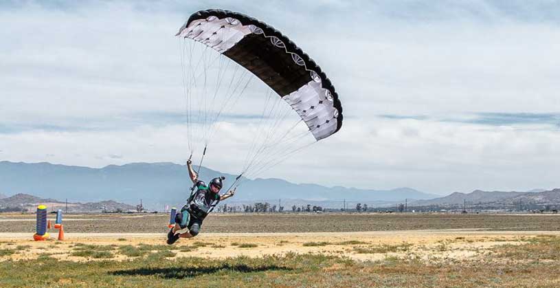 Rob Wallace Swooping